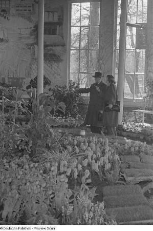Renate Rössing vor Blumen in einem Gewächshaus