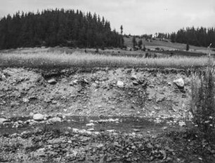 Flussufer : Blick auf ein Flussufer. Im Hintergrund ein Wald