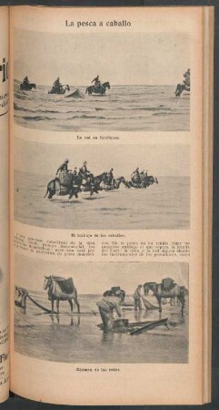 La pesca a caballo - [Ilustración]