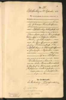 Standesamtsbuch der Stadt Aschaffenburg: Geburten 365/1900 - 184/1901