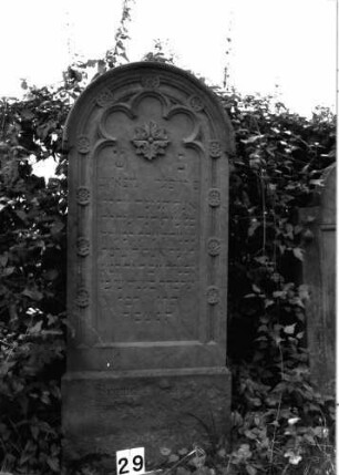 Grabstein 29 (Index: 99891812) Material: Sandstein Zustand: gut Maße HxBxT: 153x62x13 cm Beschreibung: Stele auf Sockel, oben Rundbogenabschluß Symbolik: Maßwerk im Rundbogenabschluß, Blüten: Grabstein 29