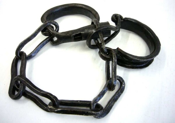 Shackle for camels