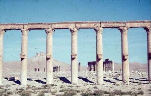 Palmyra Kolonnade n. Agora