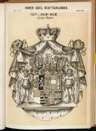 Taf. 184. Fürst z. Salm-Salm. jetziges Wappen.