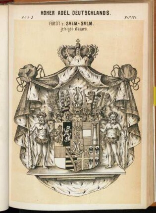 Taf. 184. Fürst z. Salm-Salm. jetziges Wappen.