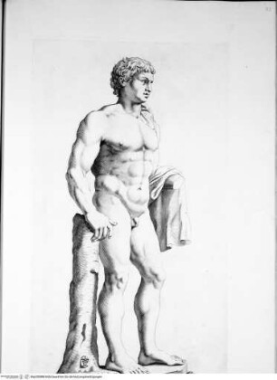 Galleria Giustiniana del marchese Vincenzo Giustiniani. 2 Bände., 1. Band, Tafel 121: - (Männlicher, stehender Akt) (nach der Antike)