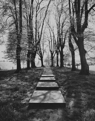 Archivfotografie "emsland_verschiedenes_25292"
