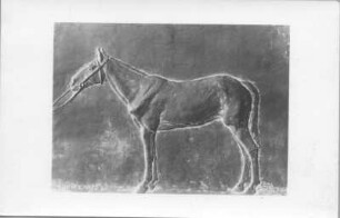 Onyedi (Relief). Gips (?), getönt (1934; E. Richter). Dresden-Südvorstadt, Eisenstuckstraße, Atelier der Bildhauerin