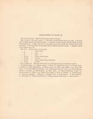 Explanation of plate III.