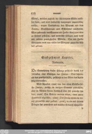 Siebzehntes Kapitel. Rosmarin.
