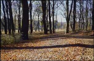 Potsdam, Park Sanssouci, Ruinenberg, Parkansicht.