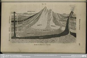 Fig. 101. Idealer Durchschnitt der Erdrinde