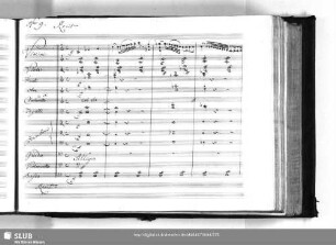 Nro.9. Recit.[ati]vo [e] Aria con Coro: Apriti Inferno