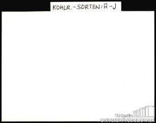 KOHLRABI: Sorten A-J