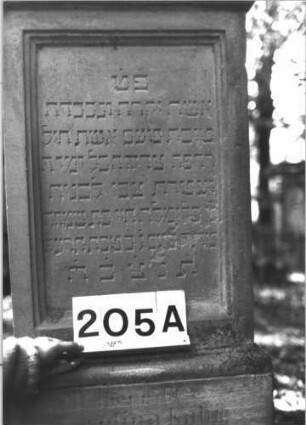 Grabstein 205 (Index: 99899100) Material: Sandstein Zustand: gut erhalten, am Sockel beginnende Verwitterung Maße HxBxT: 172x48x23 cm Beschreibung: aufgesockelte Stele, überkragender Giebelaufsatz mit Akroterien, im Giebelfeld geometrisches Ornament, Giebelaufsatz?, Schriftfeld eingetieft: Grabstein 205A
