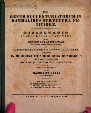 De renum succenturiatorum in mammalibus structura penitiore : diss. inaug. anat.