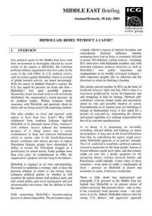 Hizbollah : rebel without a cause?