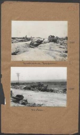 Zerschossenes Gespann