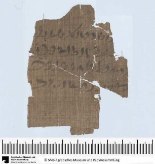 Demotischer Papyrus, Vertrag