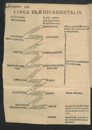 Linea Praedicamentalis.