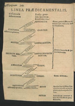 Linea Praedicamentalis.