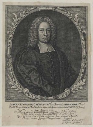 Bildnis des Ludovicus Georgius Treviranus