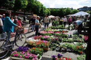 Blumenmarkt in Naestved