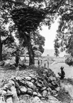 Holzlagerung (Deutsche Indien-Expedition 1926/1929 - 2. Odisha)