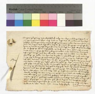 Jodocus Wind, Guardian zu Ulm, an Magdalena von Suntheim, Klosterfrau zu Söflingen
