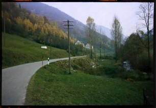 Zastler: Straße im herbstlichen Zastlertal