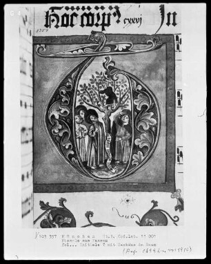 Missale — Initiale mit Zachäus im Feigenbaum