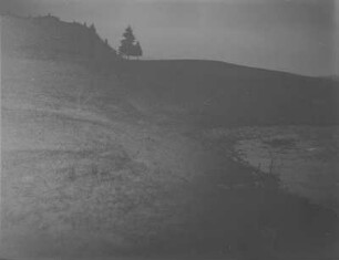 Bergsee : Das Ufer eines Bergsees am Fuße eines Hanges