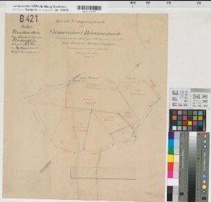 Hiddingsel (Dülmen), Teilung der Bückers Heide, Bl.1 Brouillonkarte