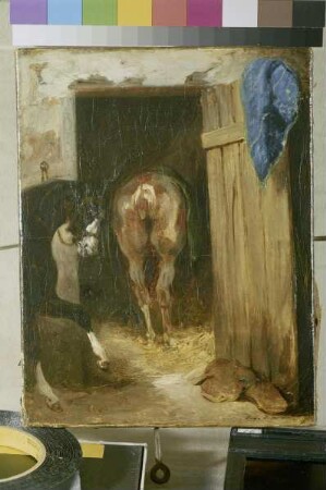 Pferde im Stall