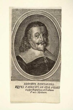 Alvise Contarini (Diplomat)