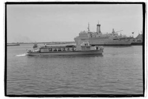 Der Stralsunder (1957), Weiße Flotte, Stralsund
