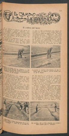 El cultivo del berro : El campo y la chacra