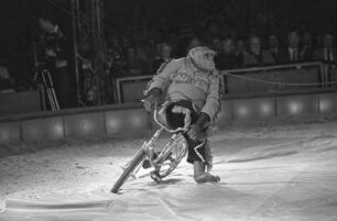 Gastspiel des Zirkus Busch-Roland auf dem Messplatz in Karlsruhe