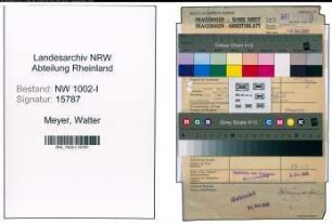 Entnazifizierung Walter Meyer, geb. 02.02.1903 (Angest.)