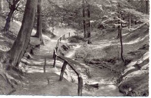 Waldweg im Naturschutzpark am Donoperteich mit Bachlauf und Geländer. Detmold. Hiddesen. Ansichtskarte