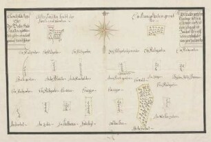 Geometrische Mappa über das Gotteshaus S. Gallen aigenthümliche Güttere ...