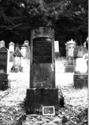 Grabstein 84 (Index: 100090730) Material: Kalkstein mit weißer Marmorplatte Zustand: gut Maße HxBxT: 202x59x23 cm Beschreibung: Stele, Sockel, giebelartiger Abschluß, Schrifttafel mit Segmentbogen: Grabstein 84