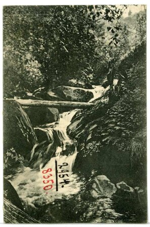 Ashland, Oregon. Ashland Creek Canyon