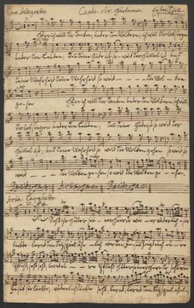 Canto (Mr. Hartmann)