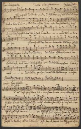 Canto (Mr. Hartmann)
