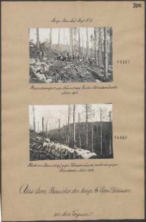 Blick vom Barrenkopf gegen Schratzmännle, rechts der große Steinbruch