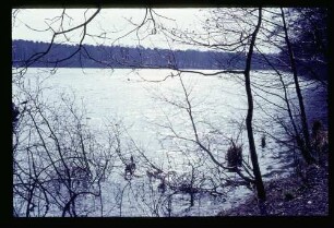Schlachtensee 26.3.67.
