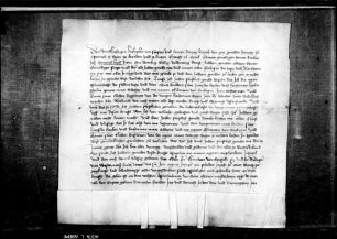 Heinrich Kaib, Ritter, sendet dem Herzog Lupolt von Österreich die Pfandschaft Blaubeuren zu Gunsten seines Brudersohns Hänslin Kaib, seiner Schwester Katharine Kaibin genannt Fleckin, deren Tochtermann Konrad von Stadion und seiner Frau Anna auf.