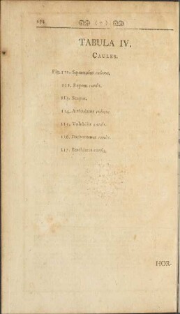 Tabula IV.