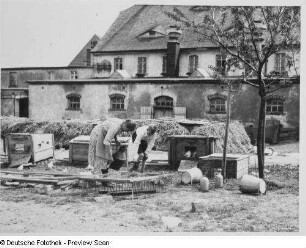 Schlegel bei Ostritz, Junggeflügelaufzucht : Schlegel bei Ostritz. Hof von Richard Kunack. Junggeflügelaufzucht